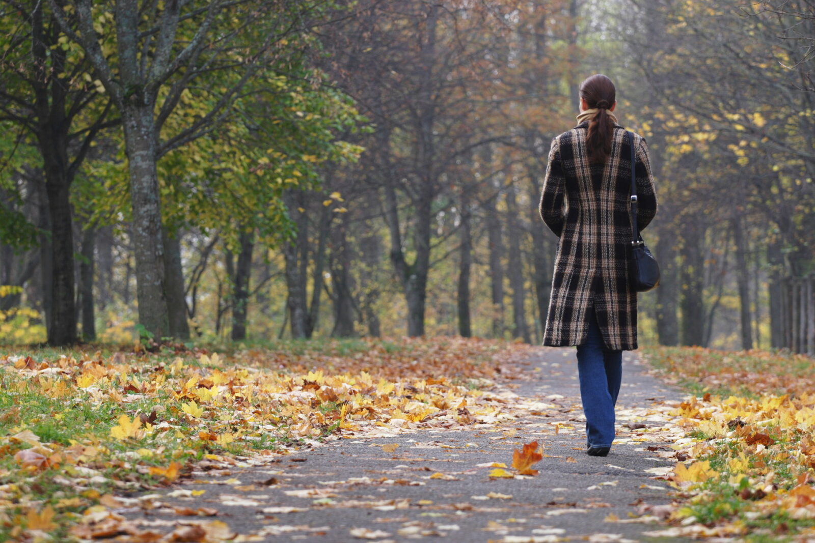 Triajul Brașov revine la viață: Rampa de deșeuri, transformată în parc verde