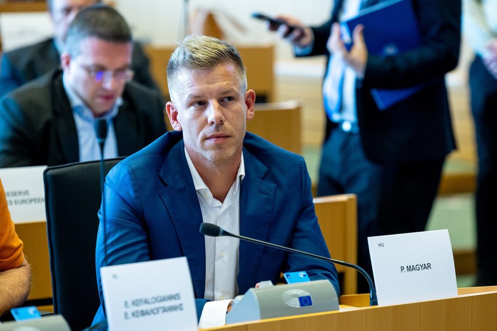 Magyar: De la afișul cu Orban la victoria zdrobitoare în alegeri