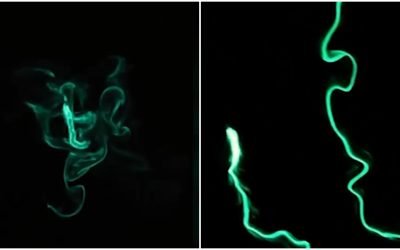 Viermi de foc bioluminiscenți „aprind” oceanul în Long Beach, SUA. Imagini VIRALE