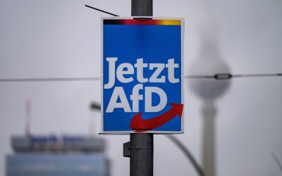 AfD, salt spectaculos în sondaje în Germania, guvernarea, în cădere liberă