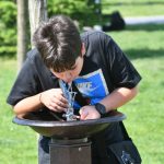 O firmă cu un angajat, plătită cu 80.000 de euro pentru cișmelele din Sectorul 6