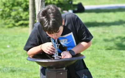 Primăria Sectorului 6, contratimp cu cișmelele: Firma cu 2 angajați, favorizată?