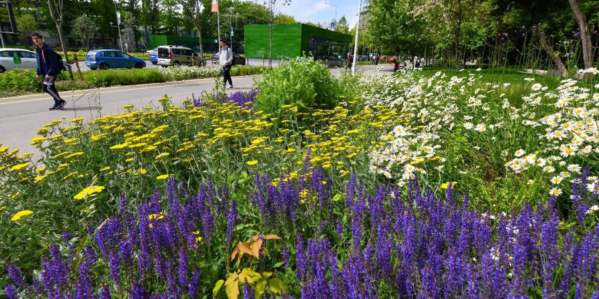 486150583_1065582412266362_6818751320928648194_n.jpg - JurnalUrban