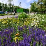 486150583_1065582412266362_6818751320928648194_n.jpg - JurnalUrban