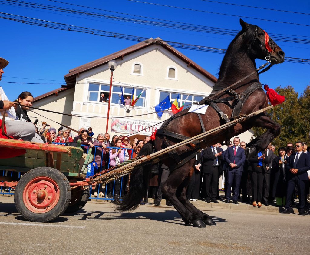 Paștele Cailor chiar există: Românii sărbătoresc tradiția unică