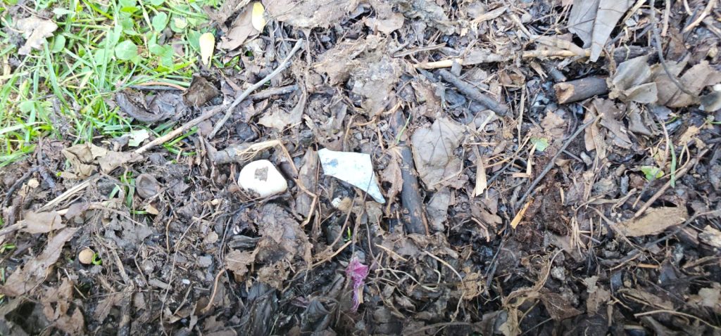 Primăria Sectorului 3 distribuie compost cu deșeuri, inclusiv cioburi de sticlă și plastic Bucureștenii din Sectorul 3 se plâng de calitatea compostului distribuit gratuit de primărie