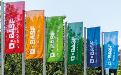 BASF, investiție majoră în România: Peste 50 de noi angajați la București