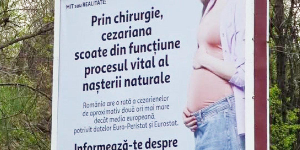 Panouri controversate: Senatoarea Păun cere intervenție urgentă în 2026