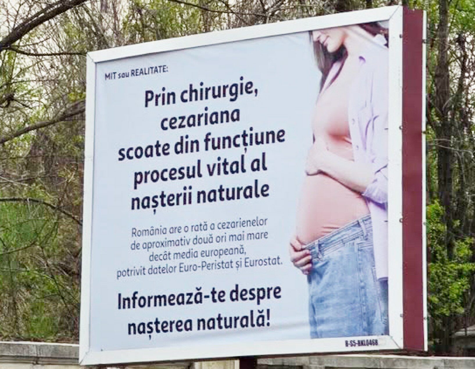 Panouri controversate: Senatoarea Păun cere intervenție urgentă în 2026