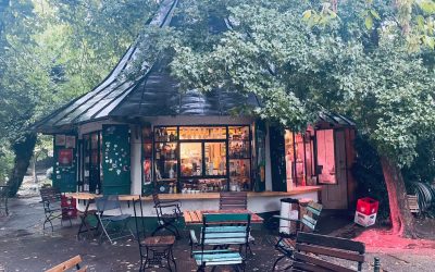 Oamenii, revoltați în Cișmigiu: Cer lui Ciucu să salveze o terasă!