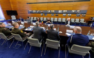 Oana ȚOIU, discuții cu oficialul SUA despre drona rusească: „Parteneriatul e vital”