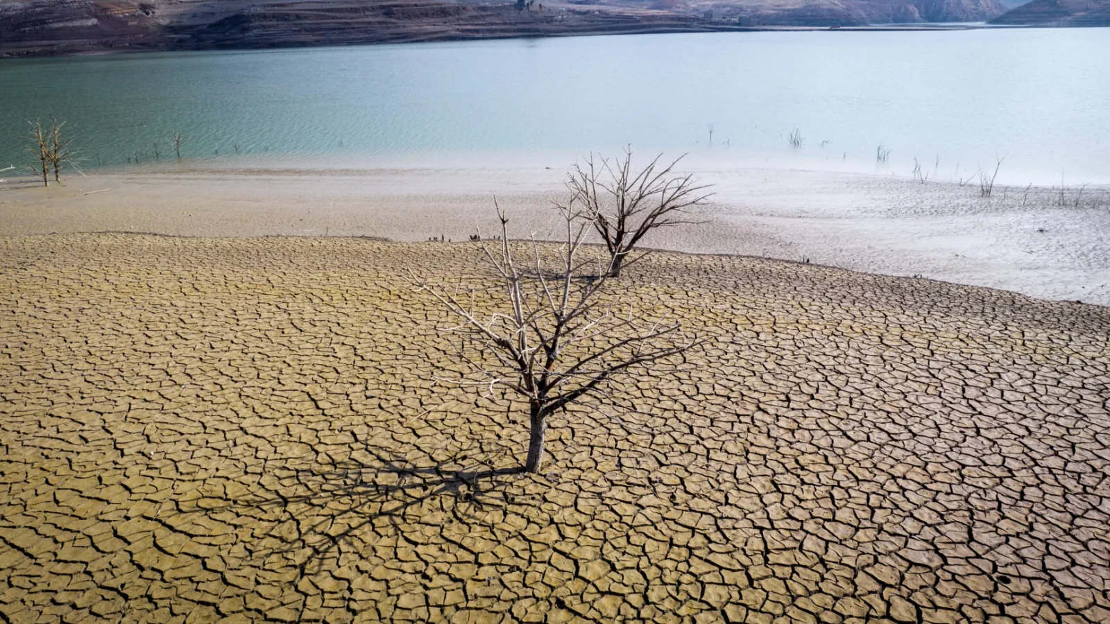 Smirna, pe cale de dispariție: Schimbările climatice ucid o tradiție de la faraoni