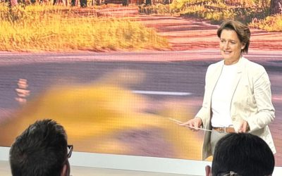 Crizele din București consumă România, Ungaria dă lovitura cu BMW și BYD, Dacia, în Turcia