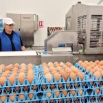 Toneli, gigantul ouălor, pompează 40 mil. Euro în afaceri anul acesta