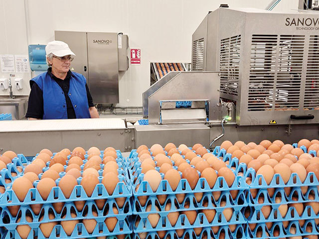 Toneli, gigantul ouălor, pompează 40 mil. Euro în afaceri anul acesta