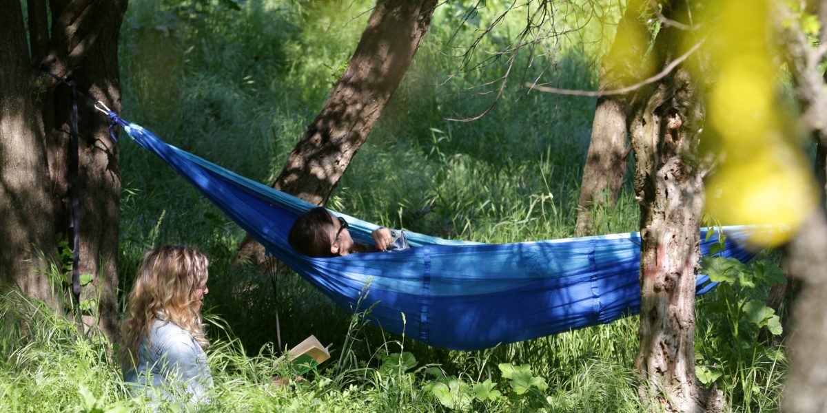 Olimpiada „Natura dintre Ape” se extinde la nivel național, oferind elevilor din toată România o platformă de învățare interactivă despre biodiversitate