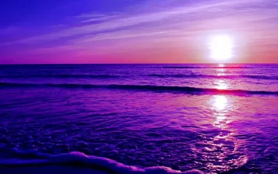 Oceanele lumii, viitoare violete? Cercetătorii anunță o schimbare majoră