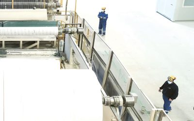 Sofidel (Regina) bagă 10 milioane € în producție. Investiția în România