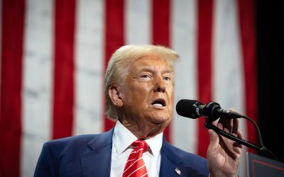 8003089-mediafax-foto-dpa-hepta.jpg - JurnalUrban