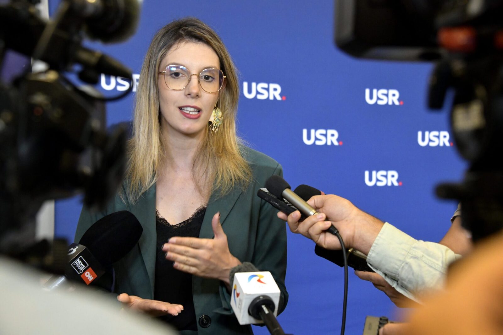 Diana Buzoianu: Ordonanța care pedepsește tăierea arborilor, trimisă spre avizare