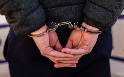 Brașov: Doi vânători au ucis un urs la Victoria. Foloseau armă cu termoviziune