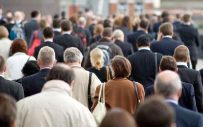 Muncă: Peste 6,6 MILIOANE de contracte înregistrate în sistemul ReGes