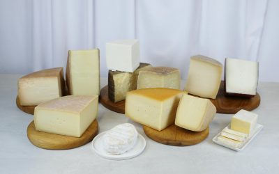 România lansează selecția de brânzeturi maturate, o premieră