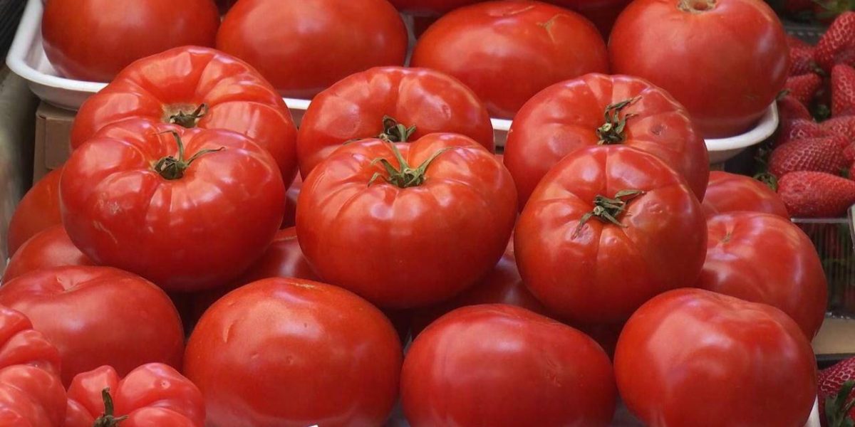 Roșiile românești în piețe: Aprilie 2026 aduce prețuri uriașe, reacții acide