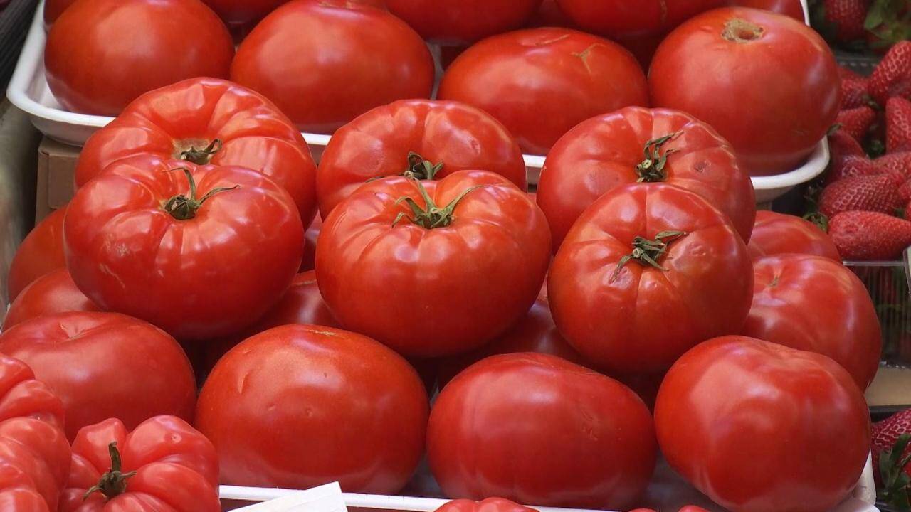 Roșiile românești au ajuns la prețuri prohibitive pentru mulți cumpărători, atingând 50 de lei pe kilogram, din cauza costurilor mari de producție generate de iarna grea și de scumpirea carburanților