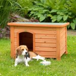 Cati-caini-ai-voie-sa-tii-in-curte-poti-fi-amendat-usor-daca-nu-tii-cont-de-legea-din-2026.jpg - JurnalUrban