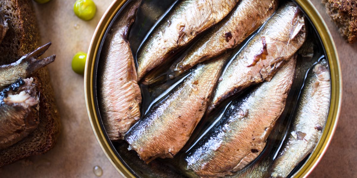 De ce recomandă experții britanici să avem ciocolată și sardine în cămară. Ghid pentru provizii în caz de urgență făcut de The Guardian