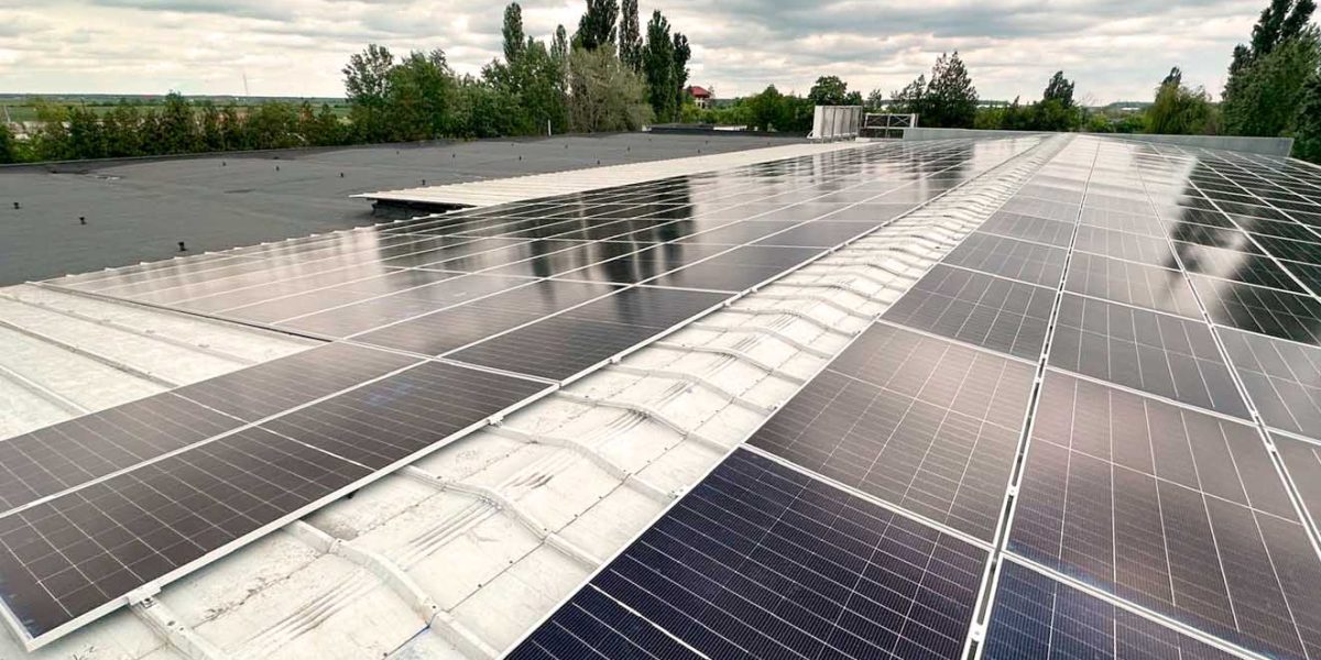 Comunicat-green-volt.jpg - JurnalUrban