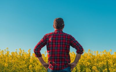 Manosphere, noua amenințare: Politicieni britanici cer măsuri pentru protecția bărbaților