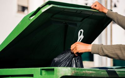 Garda de Mediu: Importuri INTERZISE în România