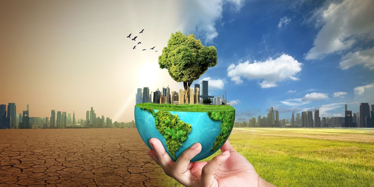 Schimbările climatice: Efecte resimțite de generațiile viitoare, arată un studiu