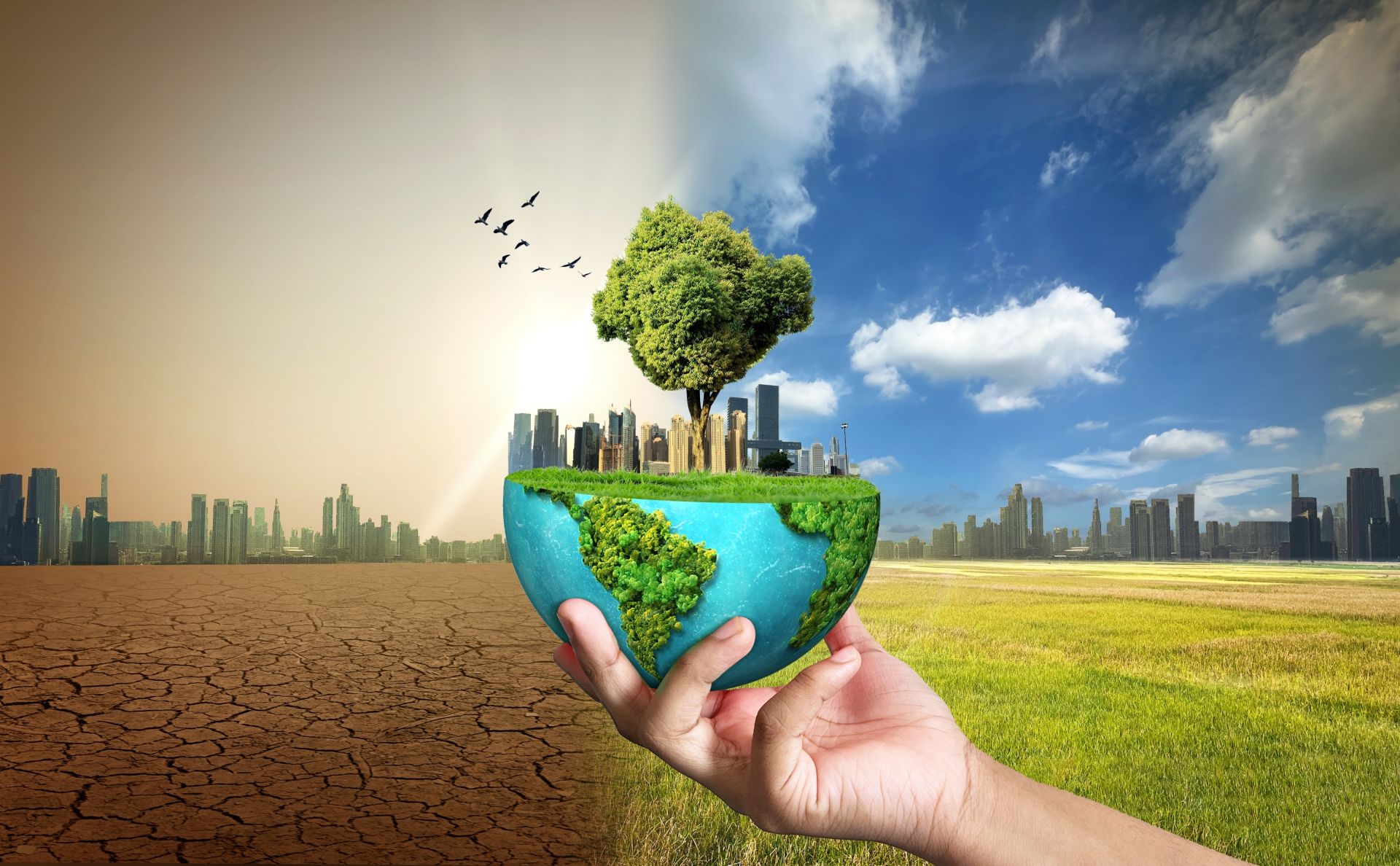 O nouă cercetare arată că efectele schimbărilor climatice se resimt de-a lungul mai multor generații în rândul speciilor animale, accelerând potențial procesul de evoluție
