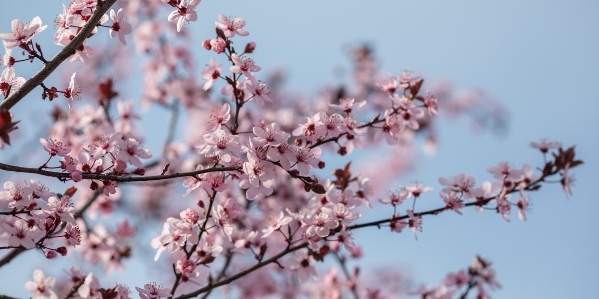 FB1A7256.jpg - JurnalUrban