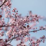 FB1A7256.jpg - JurnalUrban