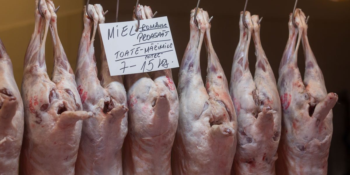 FB1A8606.jpg - JurnalUrban