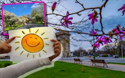 Primăvara dă semne de viață: ANM anunță vreme de tricou în România