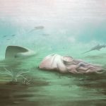 Fosila „celei mai bătrâne caracatițe”, o farsă: Scanările au demolat mitul