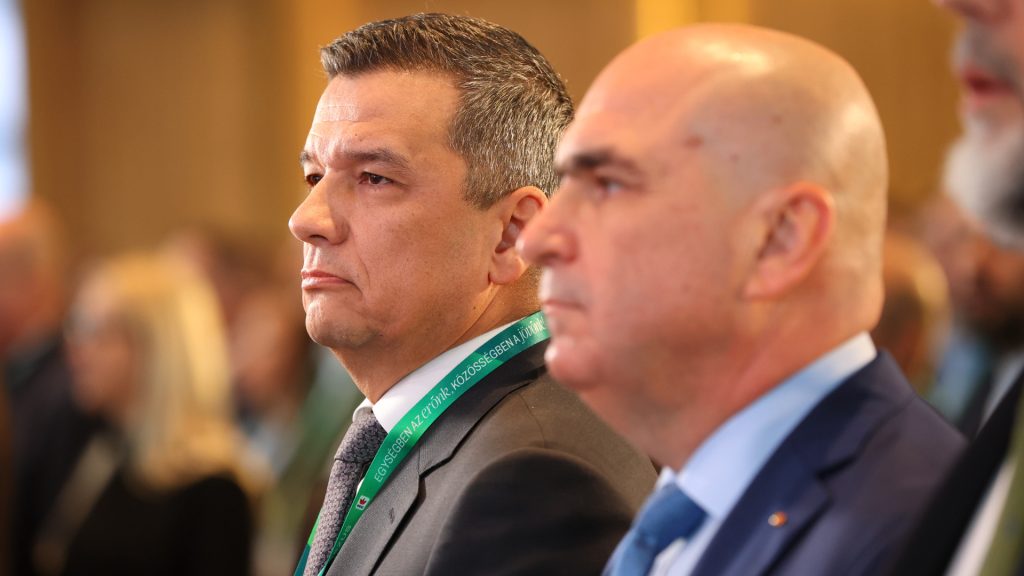 Demisia PSD nu înseamnă automat alegeri: 45 de zile de interimat politic