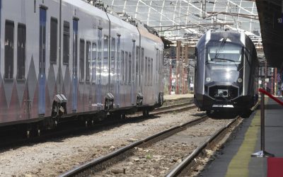 ID309301_INQUAM_Photos_Octav_Ganea-1600x1067-1-e1775218925552.jpg - JurnalUrban