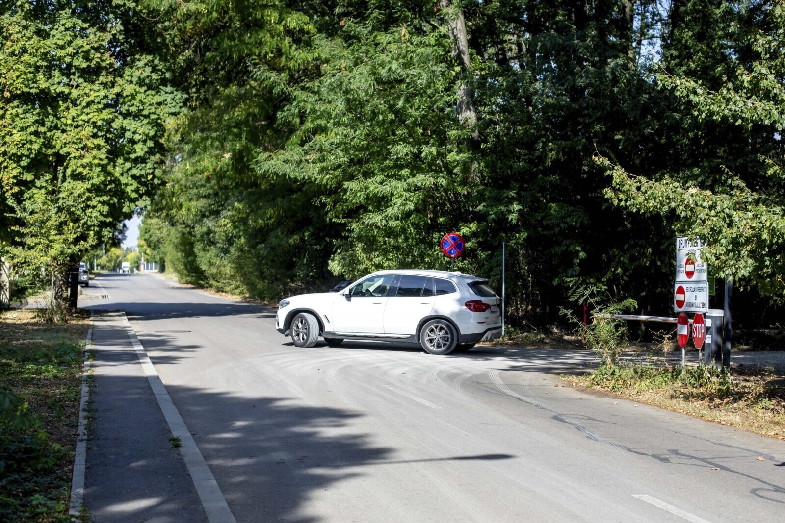 Romsilva taie accesul auto în Pădurea Băneasa: Ce se întâmplă cu Greenfield