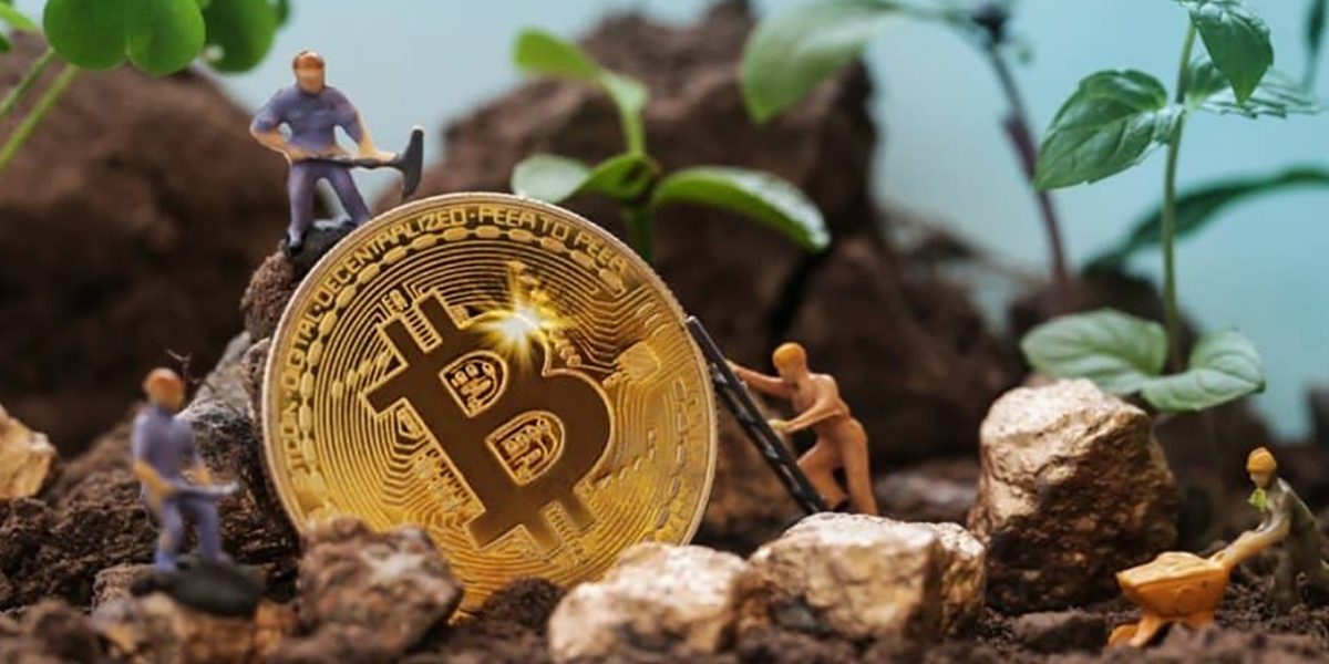 Inchiriere-Airbnb-ferma-de-criptomonede.jpg - JurnalUrban