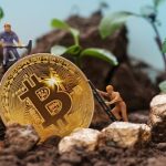 Inchiriere-Airbnb-ferma-de-criptomonede.jpg - JurnalUrban