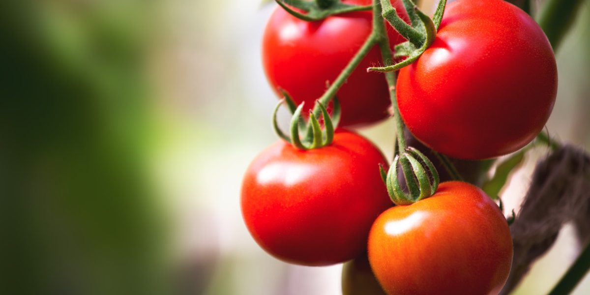 Jmhhc2g9N2FlZGNmZmE0MGQzMmMyNWY4NWQ0NDljMjEyZmViMmE.thumb_.jpg - JurnalUrban