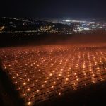 În Cluj, fermierii au ars 40.000 de euro pentru a salva cireșii de ger