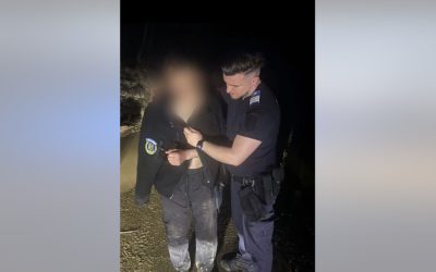 Tânăr scăpat cu viață de urs: Jandarmii, eroi în munți. Motocicleta, sacrificată