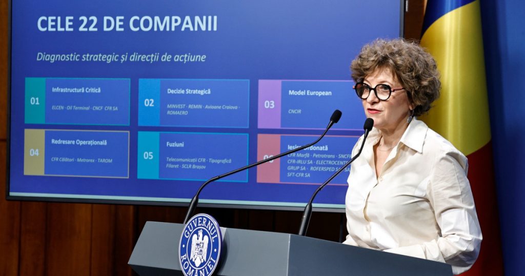 Oana Gheorghiu, acuzații grave: Conductă furată, statul plătește mii de euro